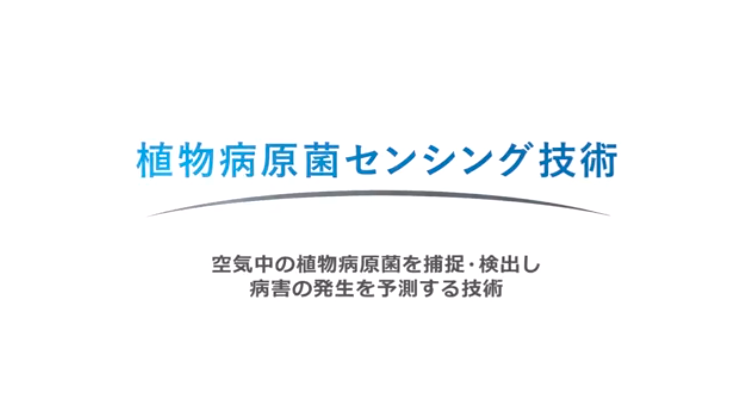 パナソニックIPマネジメント株式会社